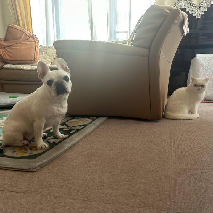 99edb5a2 6bae 41d0 8a7b 1a56a01ab498 1715731263711