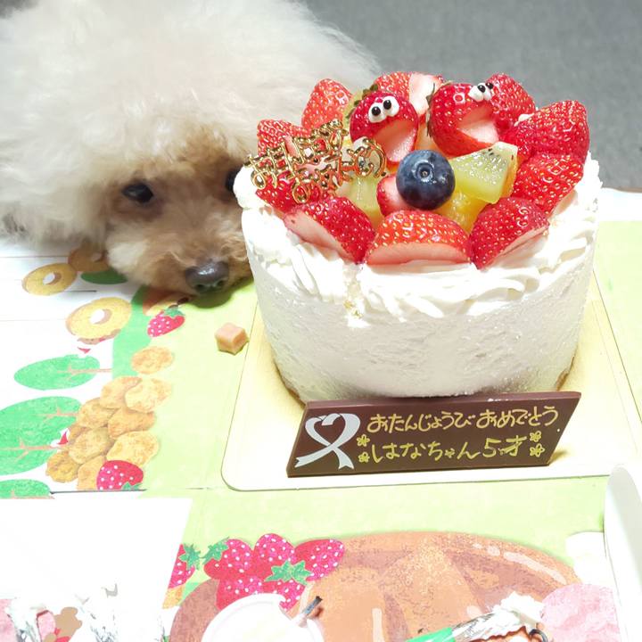 99edb6ff b942 4995 9e48 0783a135da25 1565536691147