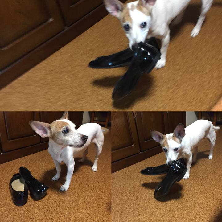 99edcd6c fedb 4fb3 8720 17a2e65a8027 1535691227900