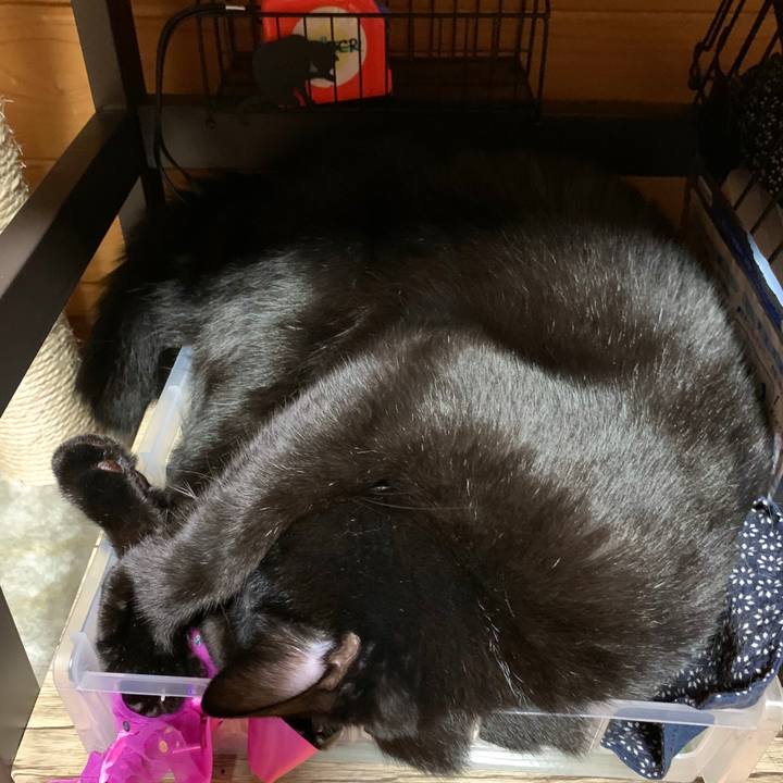 99ede81a 4b37 4f98 95a6 67d6230aaf4b 1593526153596