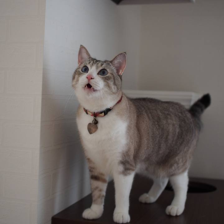 99ee336d 2054 4d3a b4a3 3a48e69f54f1 1595598478277