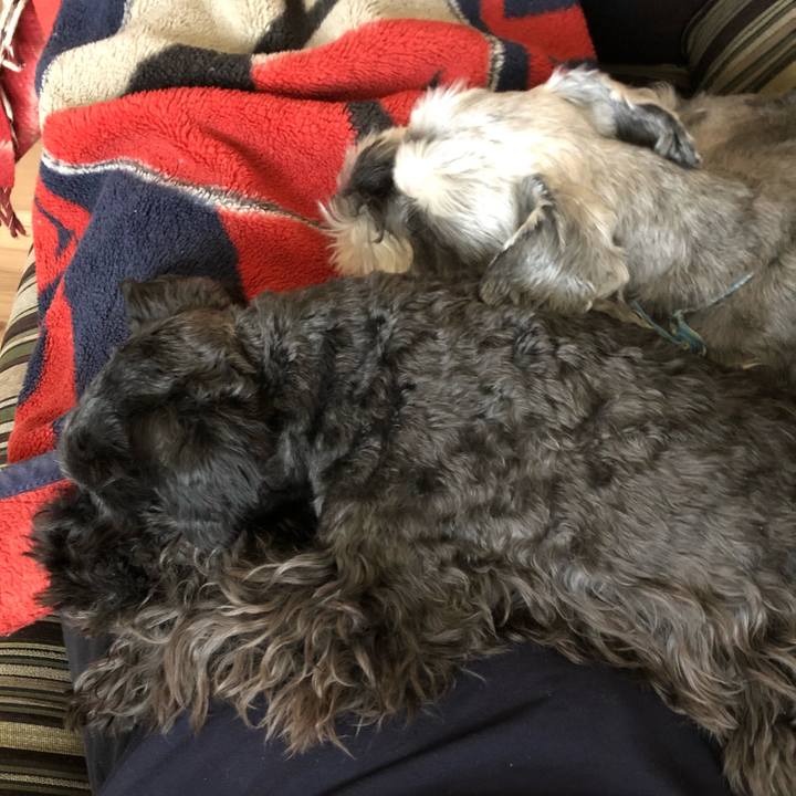 99ee3525 e057 450c bdaa 67690c897c67 1586228165941