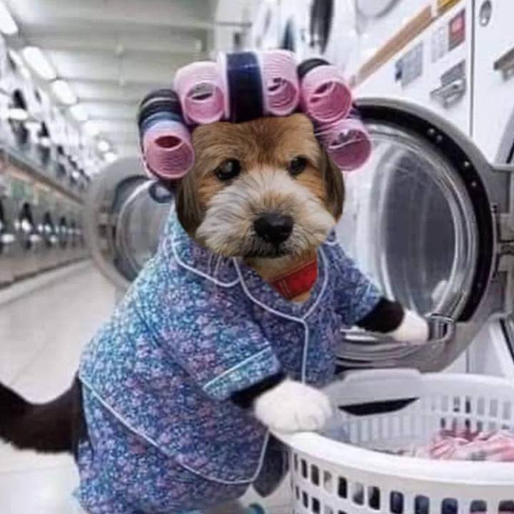 99ee4357 af66 4e73 bee4 c0d5eea1f46b 1707372777701