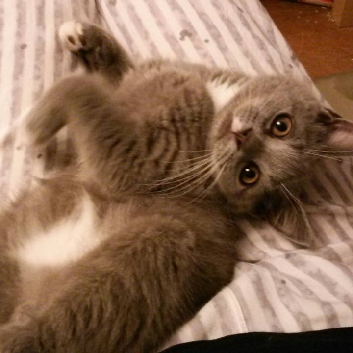 99ee5848 1047 4e1a a75e ee78a38be099 1532346581796