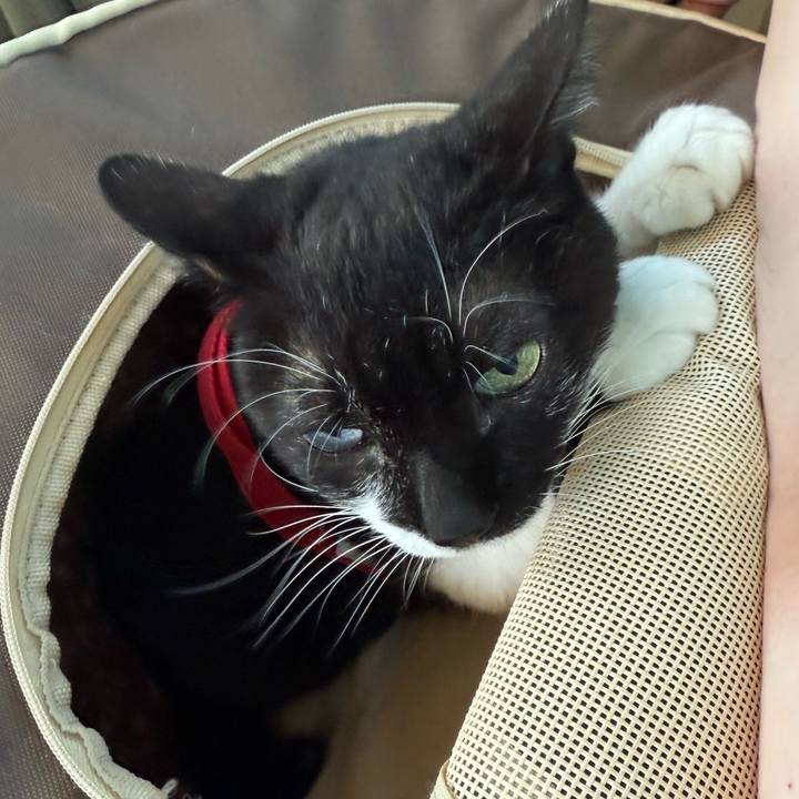 99ee7ca2 8e12 4635 93af de3227e77228 1760535191894