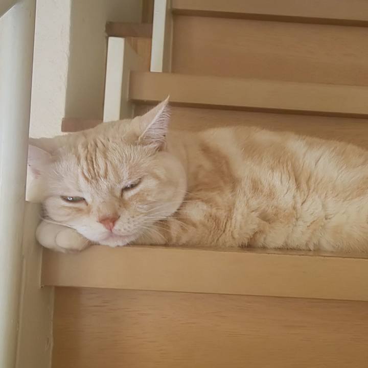 99ee8859 abb7 4c39 9447 5f2f36c945c3 1596418346508