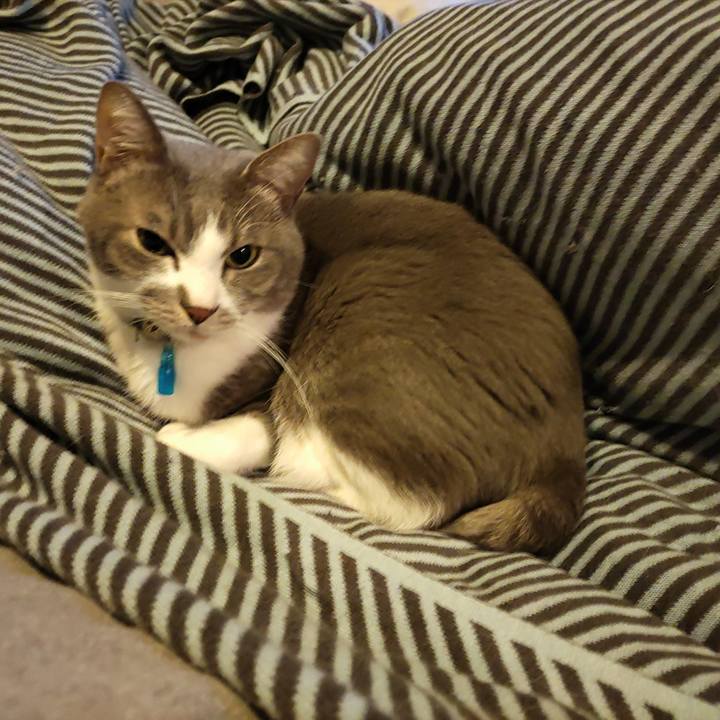 99ee9079 86b5 4b98 a046 1480c9f880c8 1703194722636