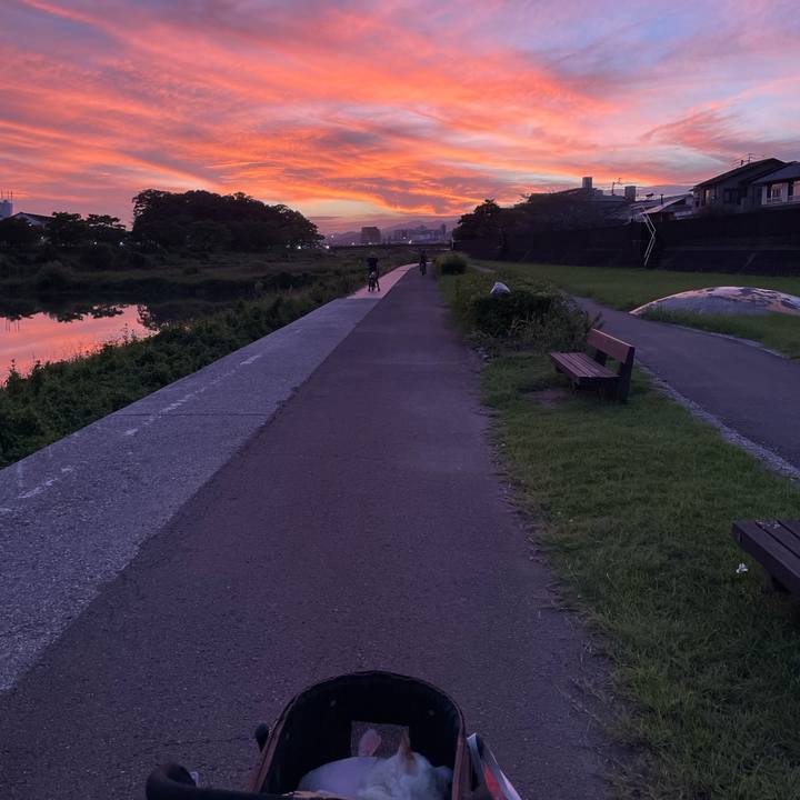 99eead22 ae6e 4b95 8f6f 285360231122 1663470231408