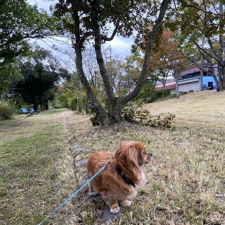 99eececa 78a4 4e70 bce6 e3e35e7861e8 1603319271787