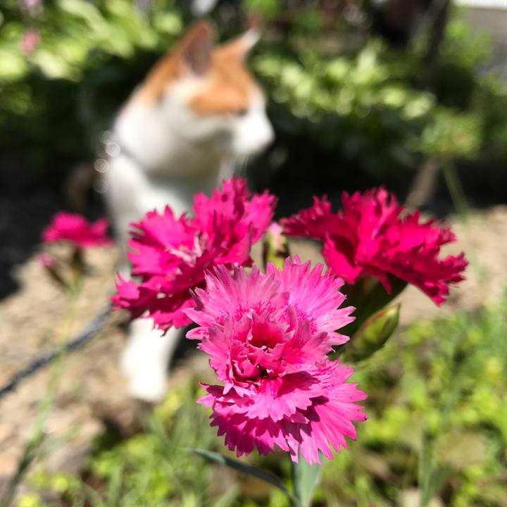 99eed42f c672 45e7 8cc6 a2652972cf0a 1526799323285