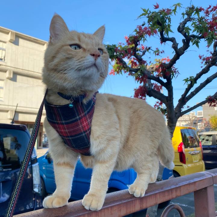 99eeeaa0 b41b 42c4 b8b3 6094c82a9d47 1636883988209