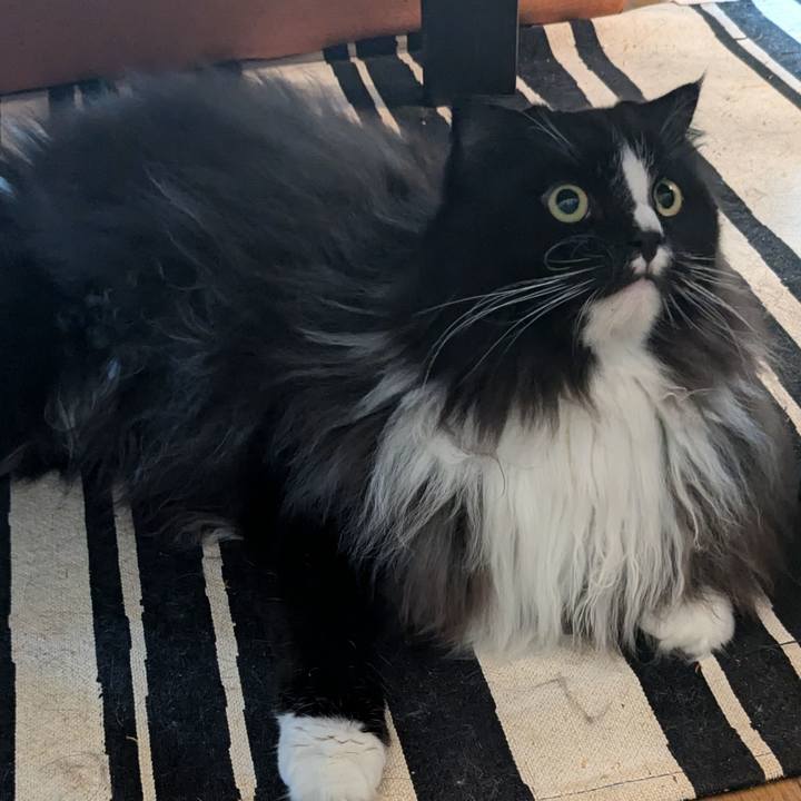 99ef1860 8ead 4dcd a5a9 5fe1d2426531 1729996099408