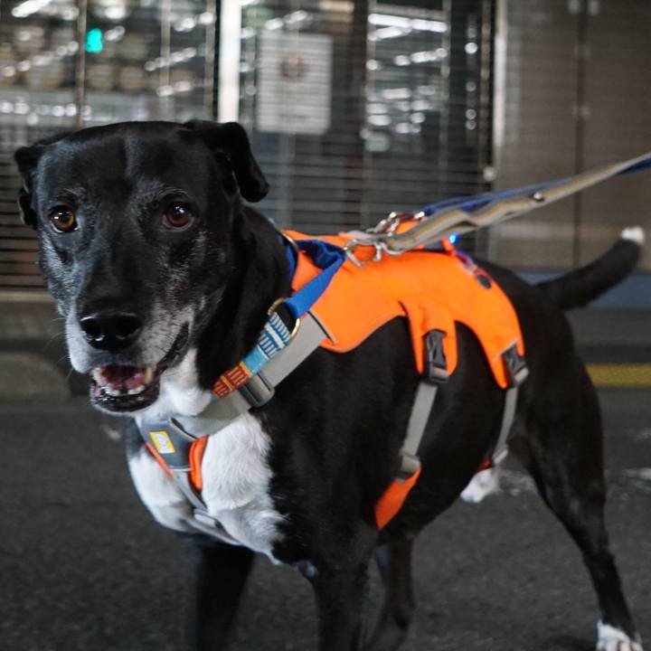 99ef7985 975f 46e2 98fd 80d37e4e19b4 1761994712949