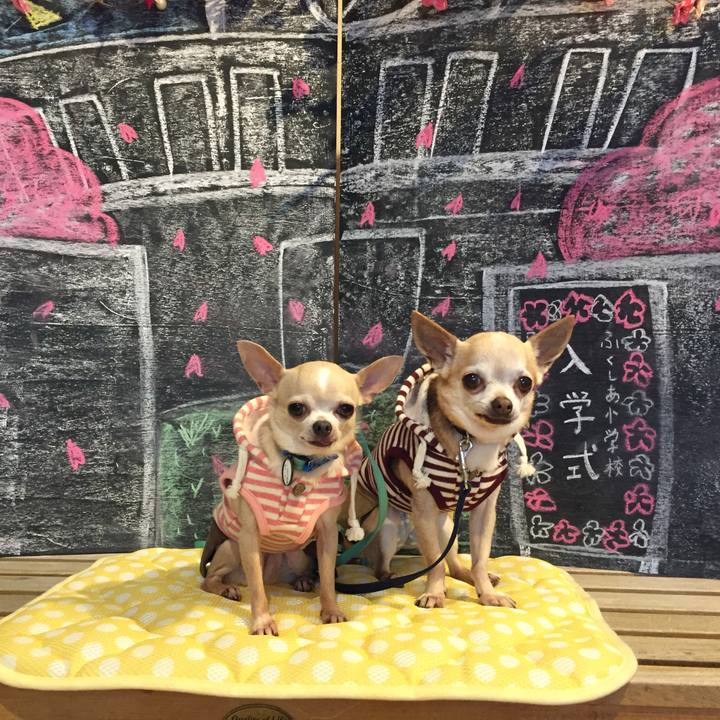 99ef7fd6 4047 412e bafc 590d6f7d4fee 1551586278450