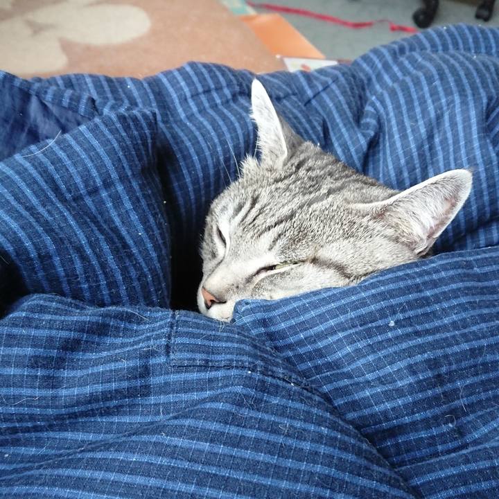 99ef8fb1 3ca5 48cf af4e b2492f8d15e2 1543885936605