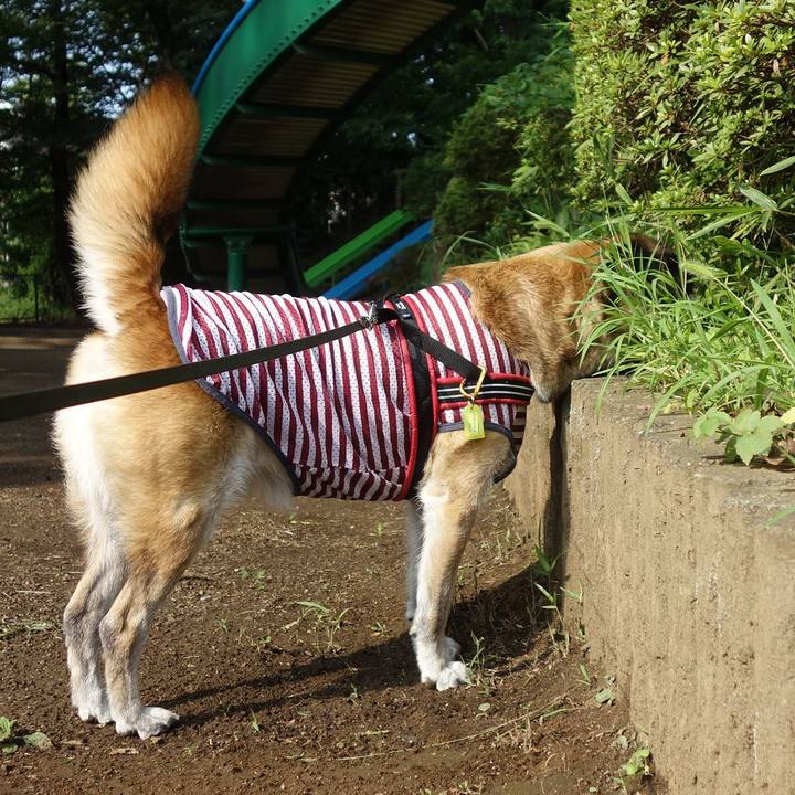 99efc7fb 65c7 4028 b21c a6fd76f0031c 1533342826575