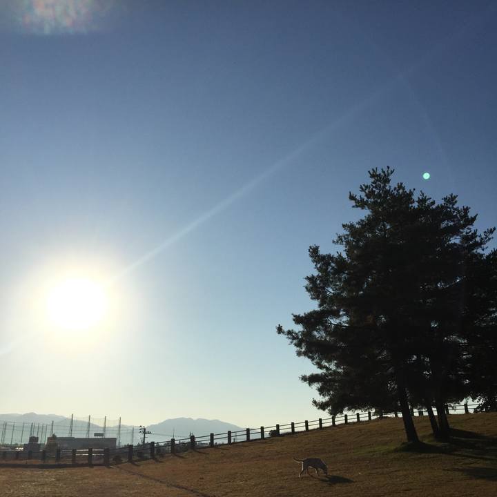 99efda39 6906 4bd4 8def 756d6e055fa4 1633554419340