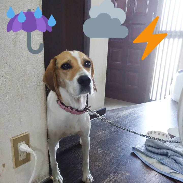 99efe0dc cdff 40d7 a899 0920501718eb 1598943580527