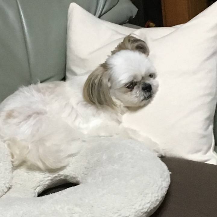 99efed96 f3ad 4a2a 892e 608e7fe2e77d 1567088266943