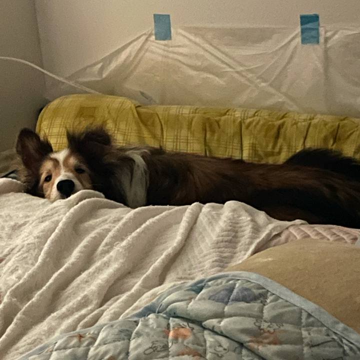 99eff9c6 4d9a 4a76 a225 d602a8993687 1628326386173