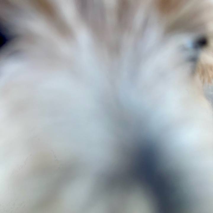 99effd73 4548 4ce2 9169 813a341a11c2 1709476541654