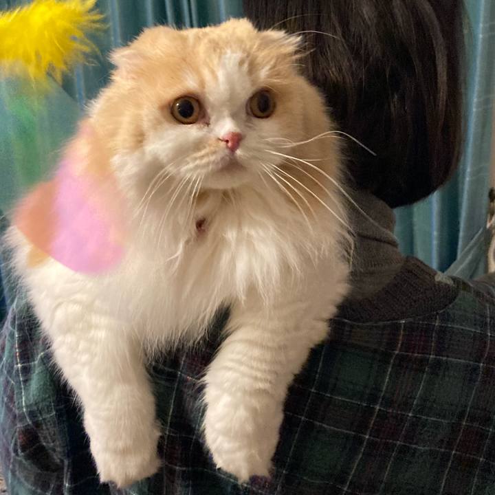 99f03151 6425 4af8 be4e 7e9565dc7752 1613221131453