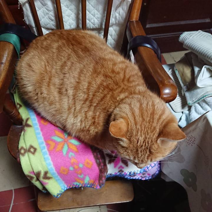 99f046c3 a5df 463c a9de d87fc7dde5af 1578201544711