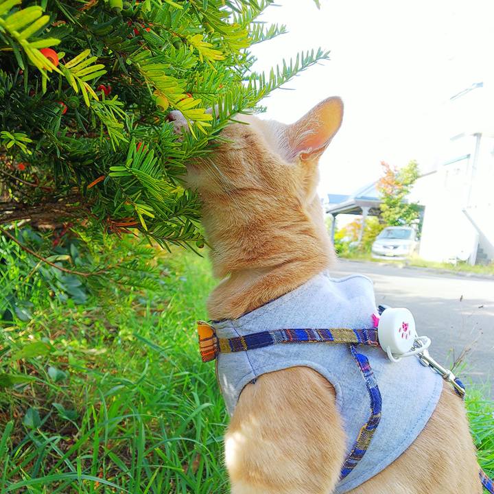 99f0b02e 7ebd 4987 adb4 b352f6cbdaa4 1632615758765