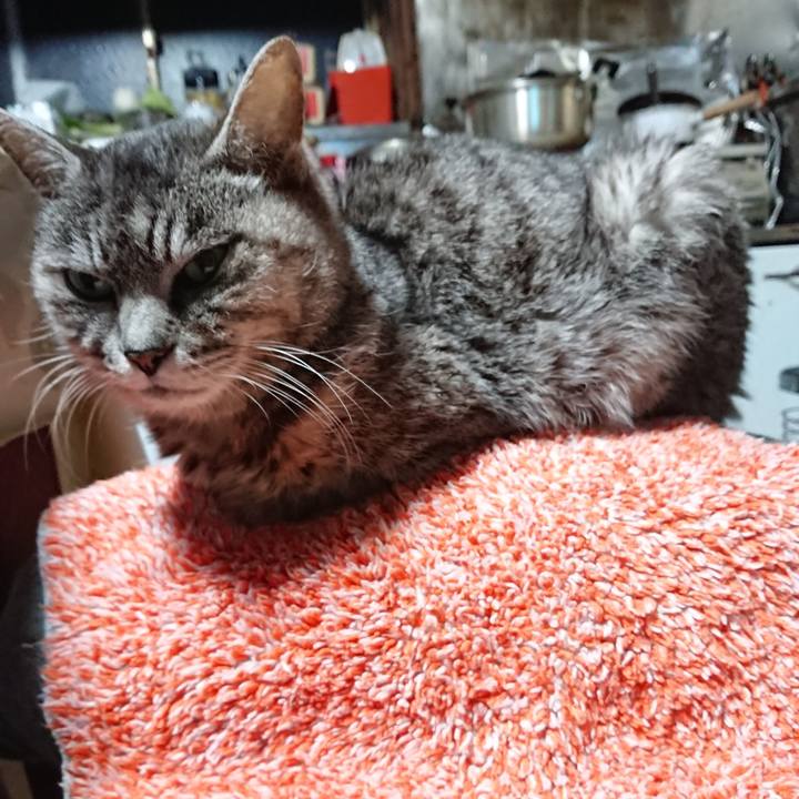 99f0d594 3495 4361 be9d 76d2a1b629c0 1581933600854