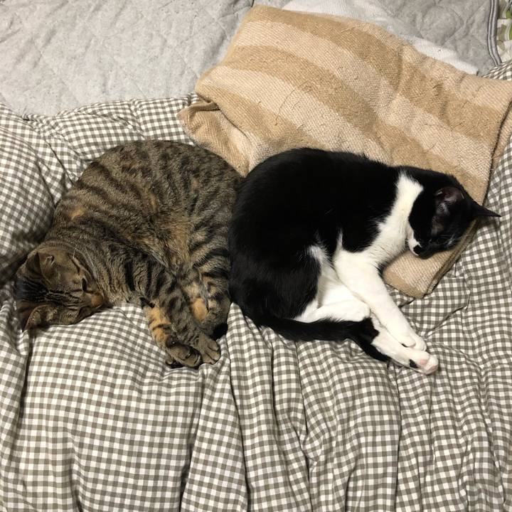 99f0d80d 7cd2 4e6b a770 4181af3894a6 1543466021344