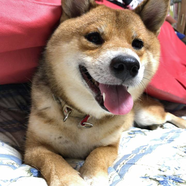 99f146a6 ed93 4b87 a3a4 aa60514a11aa 1570973414151