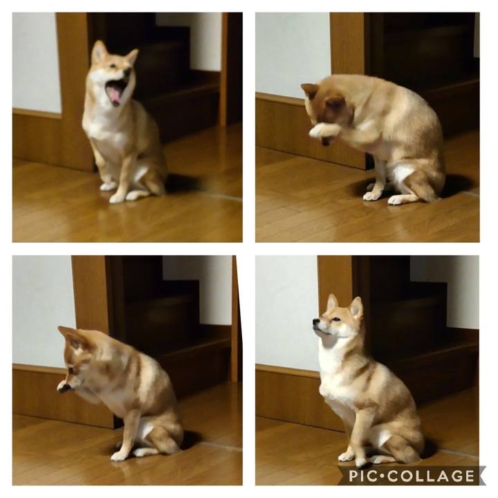 99f15138 98ba 435c bfc2 208ff97dbf9d 1648469638530