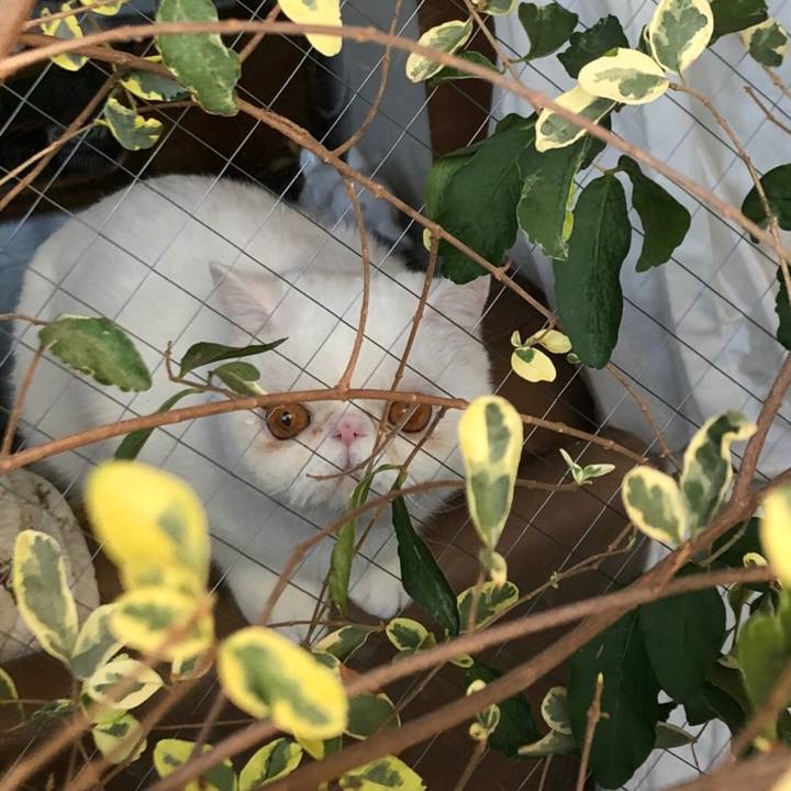 99f1d2c7 ae3b 4dd4 b5d0 eb1d4756990a 1584266872376