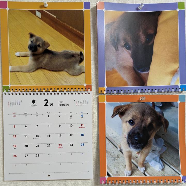 99f1f672 21a1 43bd bfbc 4e08a25f1aa2 1676455671857