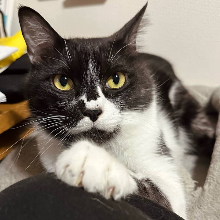 99f208eb fa89 4159 a187 357e9c85d152 1774606150055