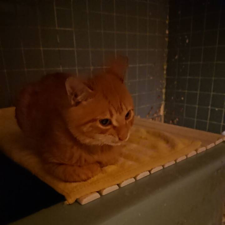 99f23ceb 140b 47c7 9bcd 488ab9ad73b0 1636449632790