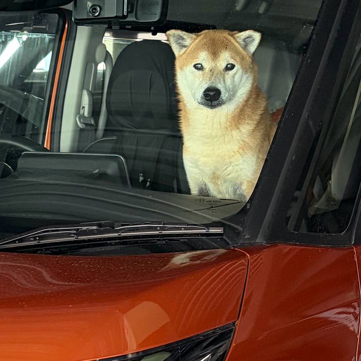 99f2641c 3a7f 47c7 aa69 8189b7c2781f 1772409421789