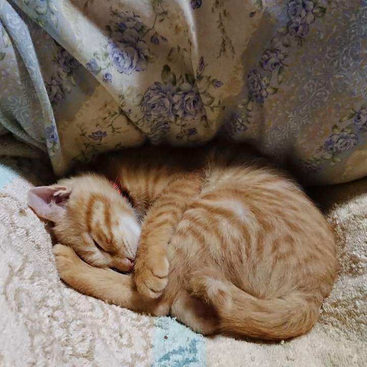 99f2751a 3782 4c7b ab67 7ad99dcff7a0 1632141466630