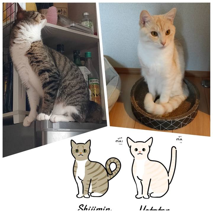 99f2a32f b194 42ef 8e51 559583757598 1659786929733