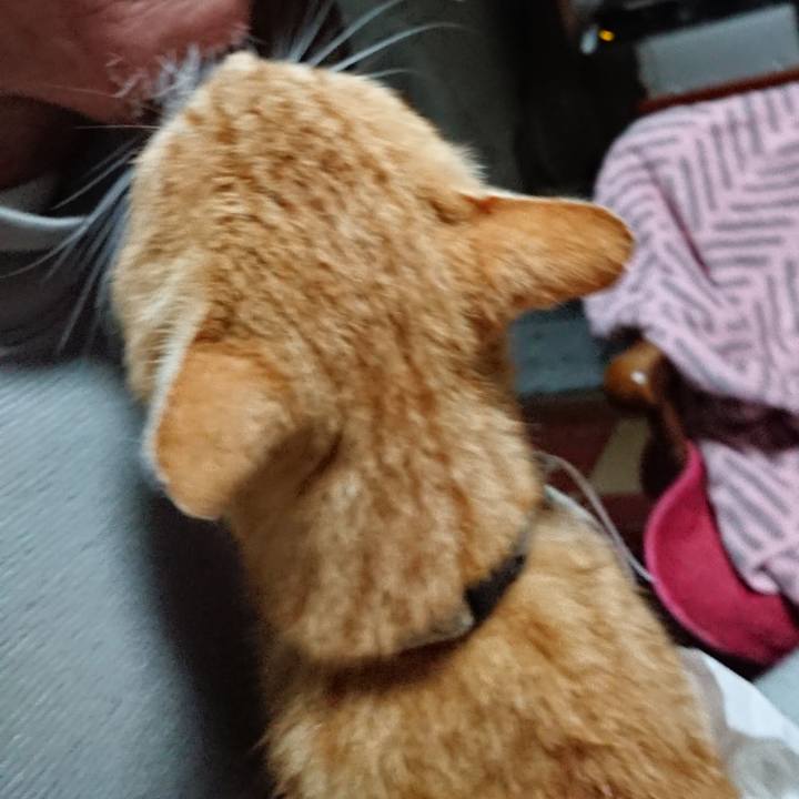 99f2b3a9 45e1 49a6 bc77 a46083c415cb 1590352162720