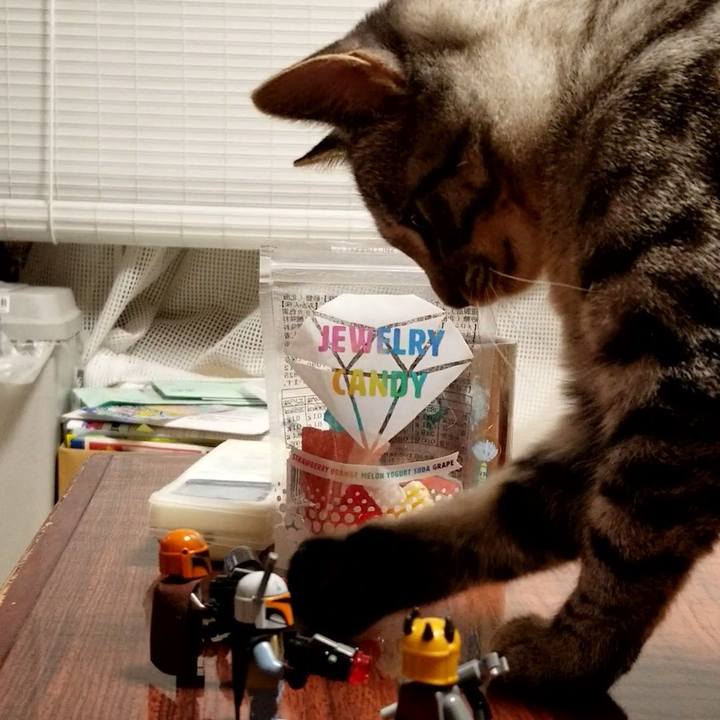 99f2c3e2 a39a 4644 9d23 267014a2ba83 1669528438322