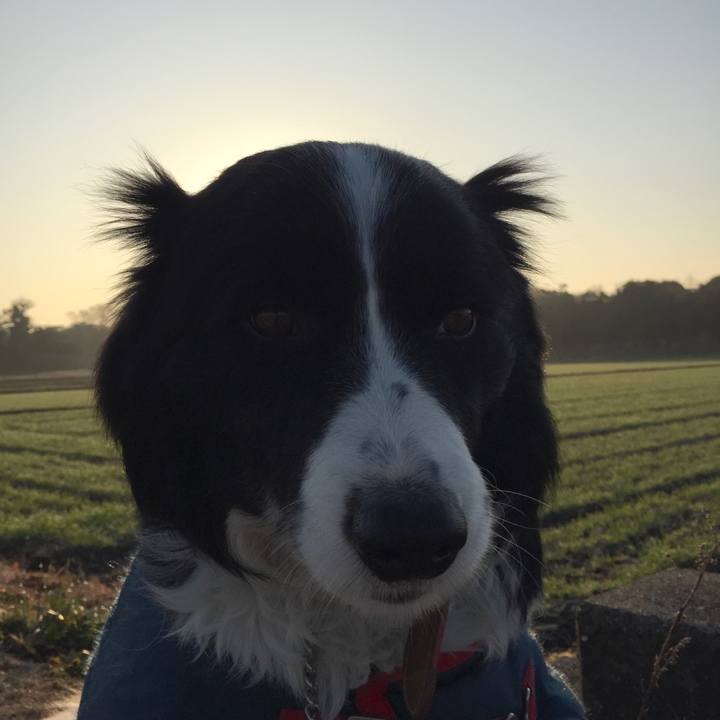 99f2cf74 40e3 4845 9d38 41a8f4bc6245 1519080429202