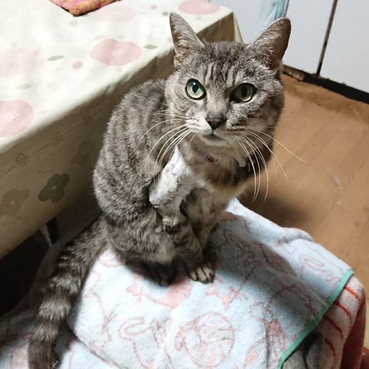 99f2d35c a350 4783 b93d 33bfc348e6a7 1589055334717