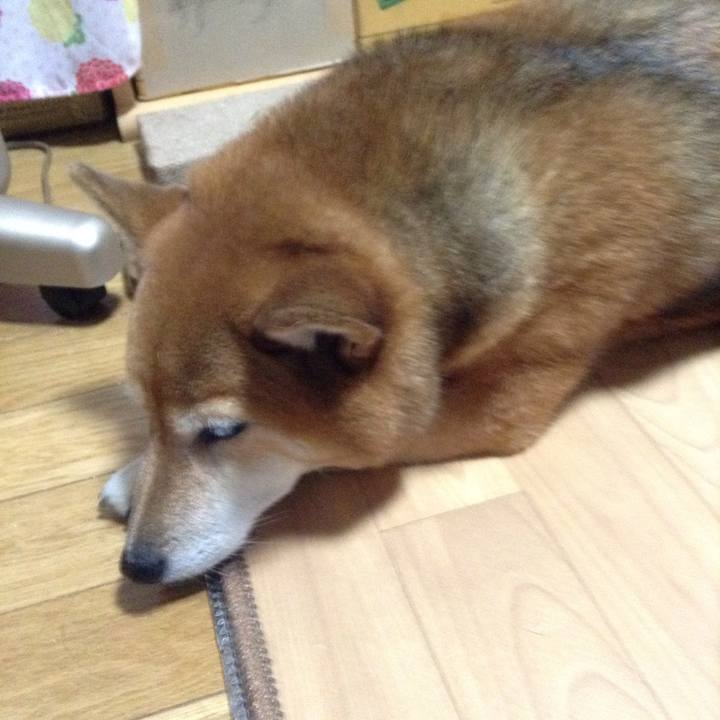 99f2d741 b86e 4262 a3a1 59df603148c4 1539422069092