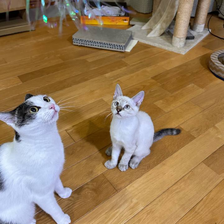 99f2ea5a f17c 4063 9ba0 7e8646d97379 1724421840873