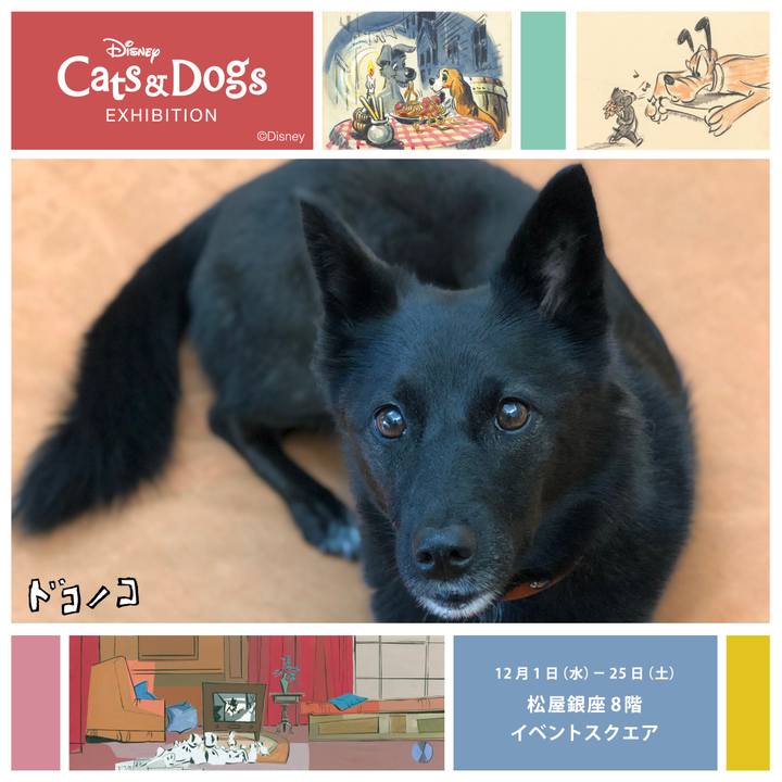 99f2ebc5 bd5f 4ca8 a748 829777716076 1638363603873