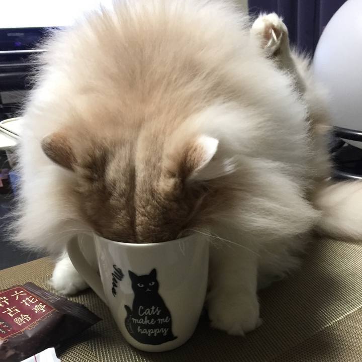 99f2fd26 009e 4172 8e4c cc23e3086e7c 1518788591745