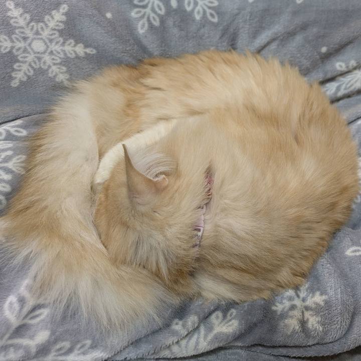 99f30b90 9b0c 4dd7 ba4c 6c488e76b5f5 1766149868559