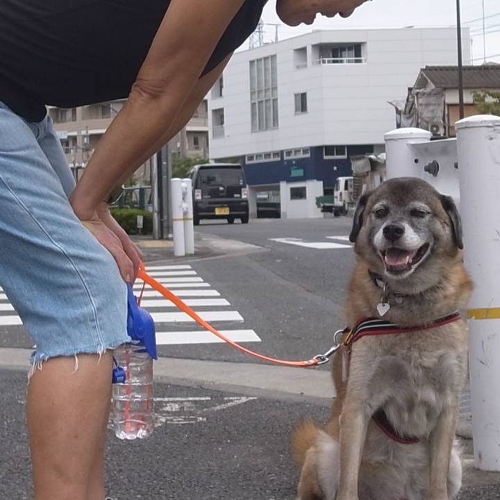 99f31dc0 f5d6 4ad8 9e90 c4605b170df0 1612313444030