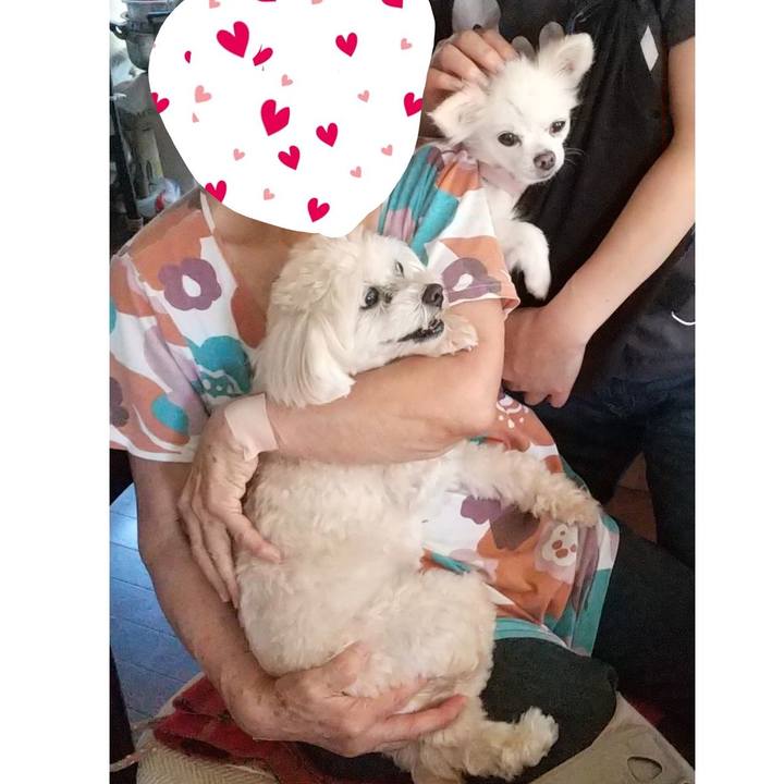 99f3590c 9a57 471c 98de b5a04fa8531f 1632400151415